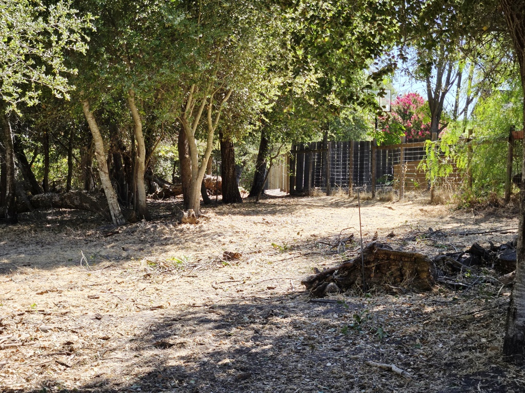 Area behind yard of the most northern house.